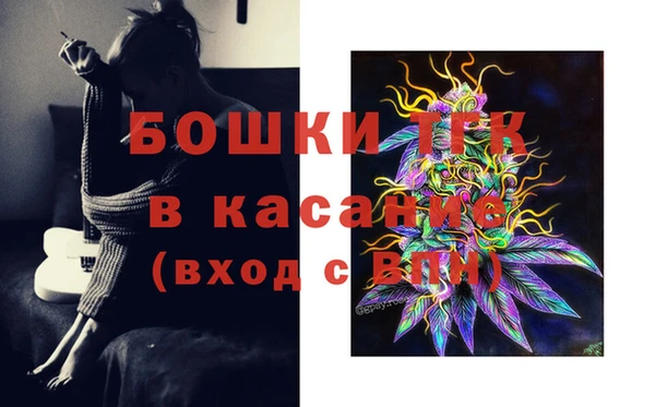 тгк Володарск